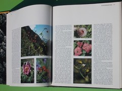 THE NORTHWEST COAST TIME-LIFE THE AMERICAN WILDERNESS (1973 HARDCOVER 184 PAGES)