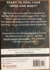 WORKBOOK for Richard Schwartz PHD’s NO BAD PARTS Very Good
