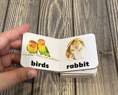 Flower Pot Press Pets Mini Book 2.75 X 2.75 Toddler Baby Kids