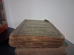 Vintage Book Lot- Scarlett Letter, Mean As Hell, The Girls At Mount Morris,