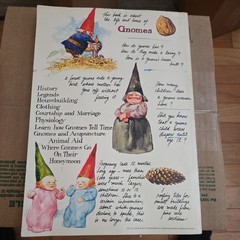 Gnomes, Forest Gnome, Text by Wil Huygen by Rien Poortvliet 1976. Pre-Owned