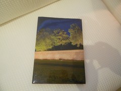 LUCCA AND ITS WALLS 2013 HARDCOVER LELLI KELLY 294 PAGES ISBN ‎ 978-8896527153