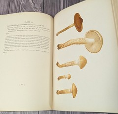 Icones Farlowianae – 1929 Farlow Fungi Mushrooms 103 Color Plates – Large Folio