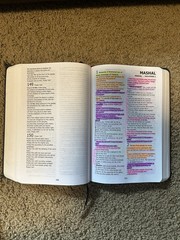 Bynv: Deluxe Cover by Lew White Leather Style Cover (some Pages Are Highlighted)