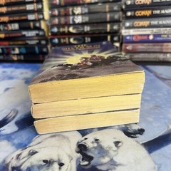 The Book of Isle Trilogy by Nancy Springer Pocket Books Paperback Set Fantasy