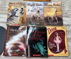 Lot of 39 Grade 3-6 Chapter Books Novels 15lbs / G. Stilton, Beverly Cleary etc.