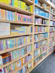 Lot of 30 kids young instant library chapter books bundle paperback – GOOD