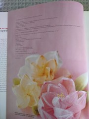 2009 First Edition Hardcover Book: Martha Stewart’s Encyclopedia Of Crafts