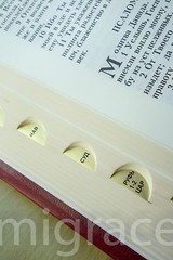RUSSIAN Table BIBLE red leatherette hard cover, Indexes 29x22cm Gift Box Библия