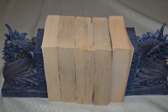 Angus Wells Lot (1st Edition/Varied Print, paperbacks, Dark, Forbidden Magic)