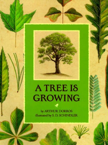 A Tree is Growing – Hardcover By Dorros, Arthur – GOOD