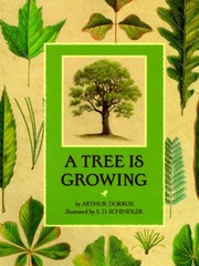 A Tree is Growing – Hardcover By Dorros, Arthur – GOOD