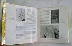 THE LAST TOSA: IWASA KATSUMOCHI MATABEI, BRIDGE TO UKIYO-E By Sandy Kita *Mint*