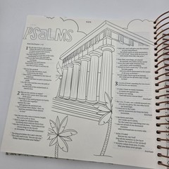 NLT Bible DaySpring Inspire Illustrating Bible With Filament App Spiral Bound