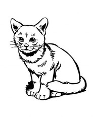 Kittens for Kids Coloring Book: Family Pet Serie 108 Pages 8.5 x 11 for All Ages