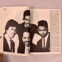 Hendrix – A Biography by Chris Welch 1972