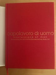 CAPOLAVORO DI UOMO MASTERPIECE OF MAN DIVERSITY IN GAY EROTIC ART NEW HC W/DJ