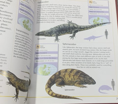 Complete Guide to Dinosaurs by Chris McNab – Hardcover – Velika Enciklopedija