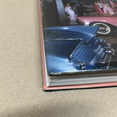 The Beverly Hills Hotel & Bungalows The First 100 Years Robert S. Anderson Book