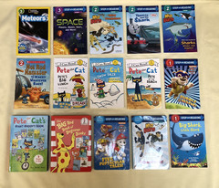 Lot of 36 Readers in 15 Books~ STEP INTO READING, BEGINNER BOOKS & I CAN READ