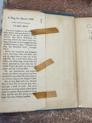 A Dog for Davie’s Hill by Clare Bice 1957 Hardcover/DJ BCE The Macmillan Company