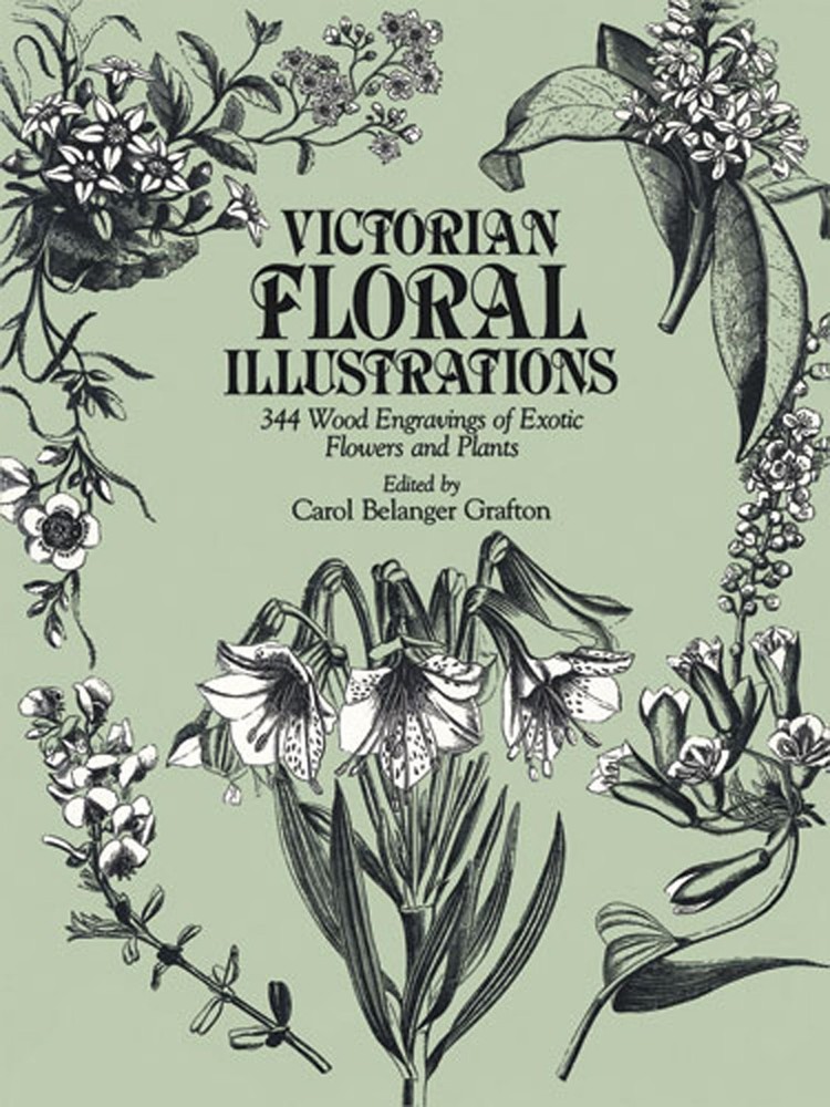 Victorian Floral Illustrations: 344 Wood Engravings of Exotic Flowers and Pl…