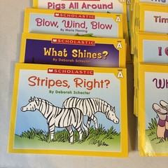 Little Leveled Readers by Scholastic Kids Books Lot Of 100+ Plz Read