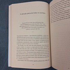 Atenção Plena Para Iniciantes Jon Kabat-Zinn Portuguese PB w/ CD LN