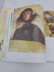 NOAH’S ARK Animal Art by Rien Poortvliet Netherlands 1986