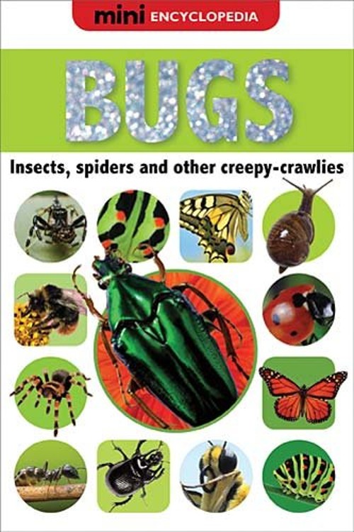 Bugs Hardcover Sarah Creese