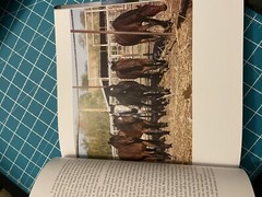Unbranded by Ben Masters, Ben Thamer, Jonathan C. Fitzsimons, Thomas Glover and