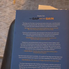 HAY House Gap and the Gain Dan Sullivan Benjamin Hardy Hardcover Self-Help 2021