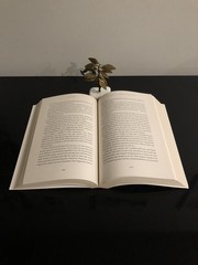 AJ How Alan Jones Climbed To The Top Of Formula One Ebury Press 2017 F.Ed/F.PrLN