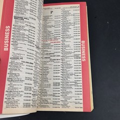 Detroit Downriver Area-Wide Telephone Directory 1998-99 TDI Talking Phone Book