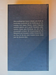 Fjodor M. Dostojewski, Der Jüngling, Roman, Gebundene Ausgabe, Zustand sehr gut