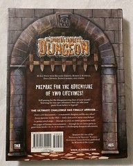 The World’s Largest Dungeon NO MAP 840 Pages NO MAP Jim Pinto Dungeons & Dragons