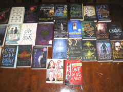 Lot of 28 Books Young Adult Literature Diverse Genres Good to Excellent