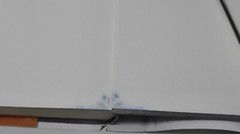 *SIGNED* A Burnable Book : A Novel by Bruce Holsinger (2014, Hardcover)