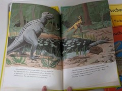 Lot of 8 Hardcover Dinosaur Library Series Books 1980s Rourke Publishing Vtg