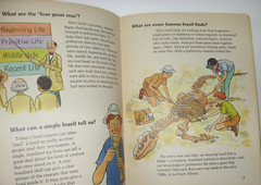 Discovering Fossils by Wendy Rydell, 1984 Paperback
