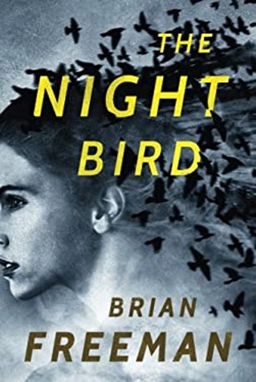 The Night Bird Paperback Brian Freeman