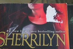 Sherrilyn Kenyon Dark Hunter League + Lot of 15 Mixed Titles