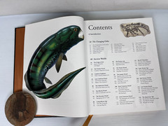 RARE „The Illustrated Encyclopedia of the Prehistoric World” 512 Pgs 9 X 11.5″