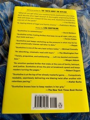 THE TRUTH ABOUT THE DEVLINS LISA SCOTTOLINE HARDCOVER BRAND NEW ***FREE SHIP***