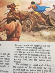 The Golden Children’s Bible: A Full-Color Bible for Kids Hardcover 512 Pages