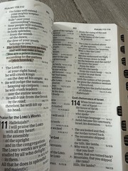 ✝️ CSB – Holy Bible LARGE PRINT Personal Size Reference Bible INDEXED Holman