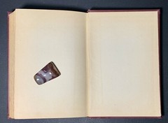 1910s ANTIQUE BOOK 1st Edition HC Democracy CHRISTIANITY social justice GOSPEL