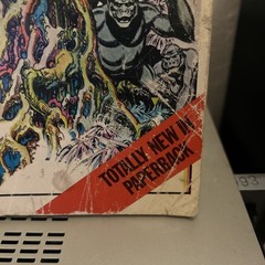 Tarzan of the Apes Burne Hogarth Graphic Comic 1974 First Pan Books Edition