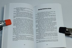 Sapiens’ Shadow by Walter Palesch (2013) SIGNED