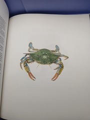 The Next Chapter Stories & Watercolors by Daniel Humm SIGNED With Will Guidara